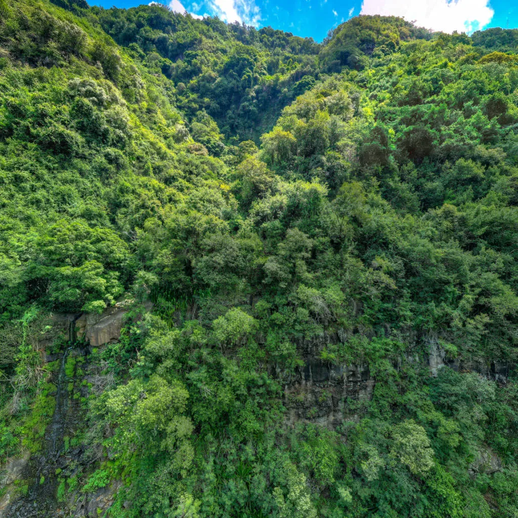Vue du panorama : Le Bras de la Plaine
